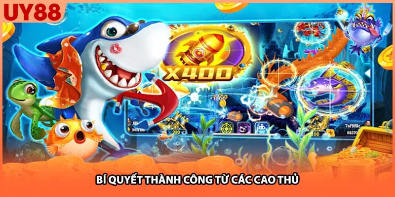 Bí quyết thành công từ các cao thủ