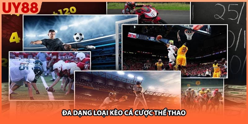 Đa dạng loại kèo cá cược thể thao