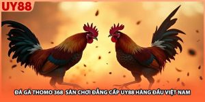 Đá gà Thomo 368 Sân Chơi Đẳng Cấp UY88 Hàng Đầu Việt Nam
