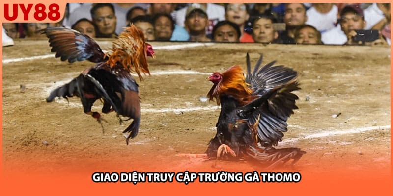 Giao diện truy cập trường gà Thomo