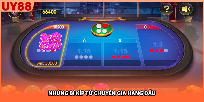 Những bí kíp từ chuyên gia hàng đầu