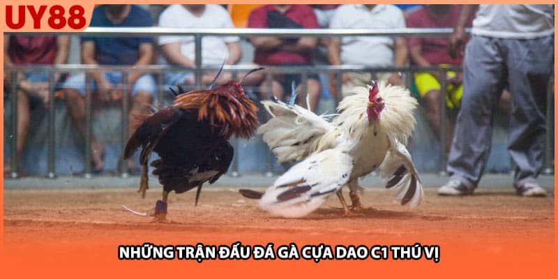 Những trận đấu đá gà cựa dao c1 thú vị