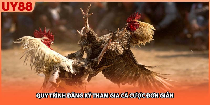 Quy trình đăng ký tham gia cá cược đơn giản